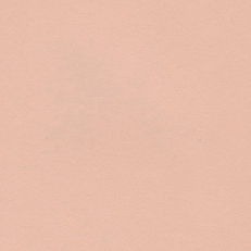 Розовый 9009 Розовый 9009